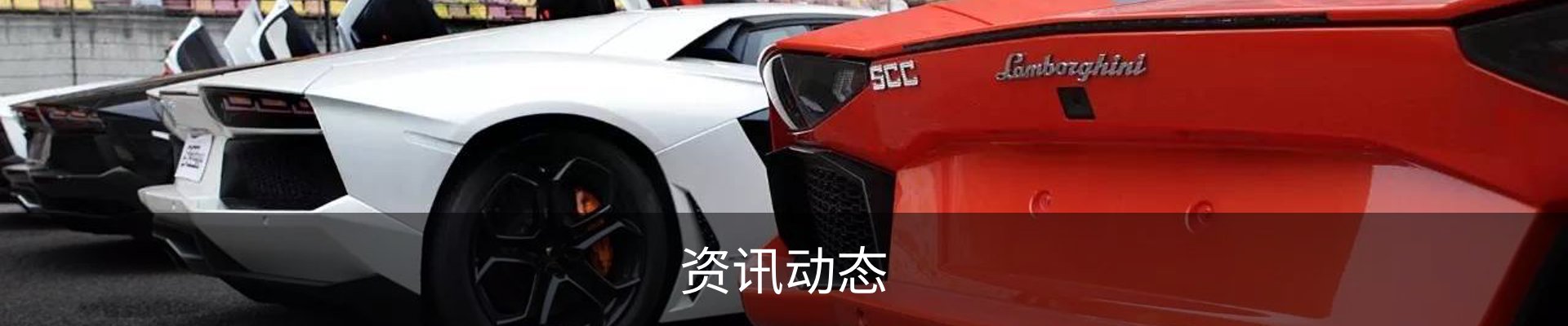 资讯动态