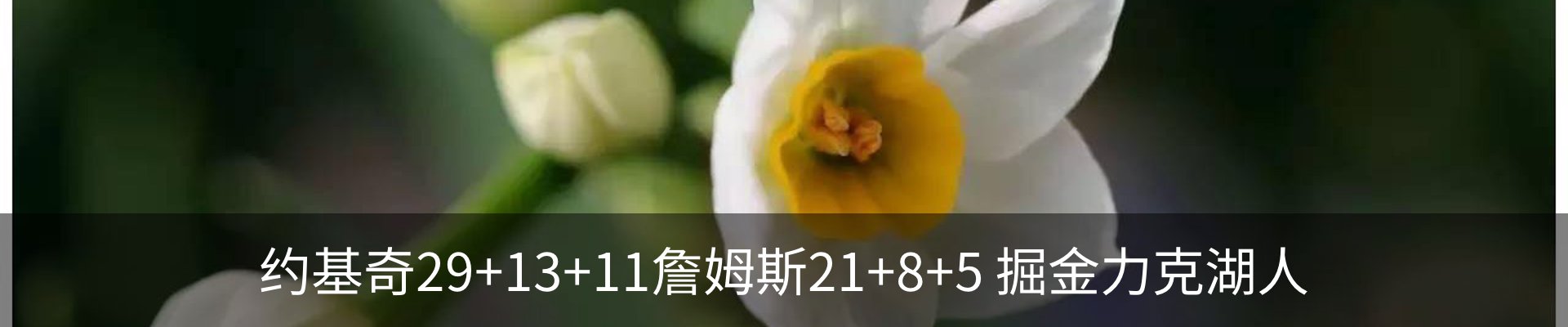 资讯动态