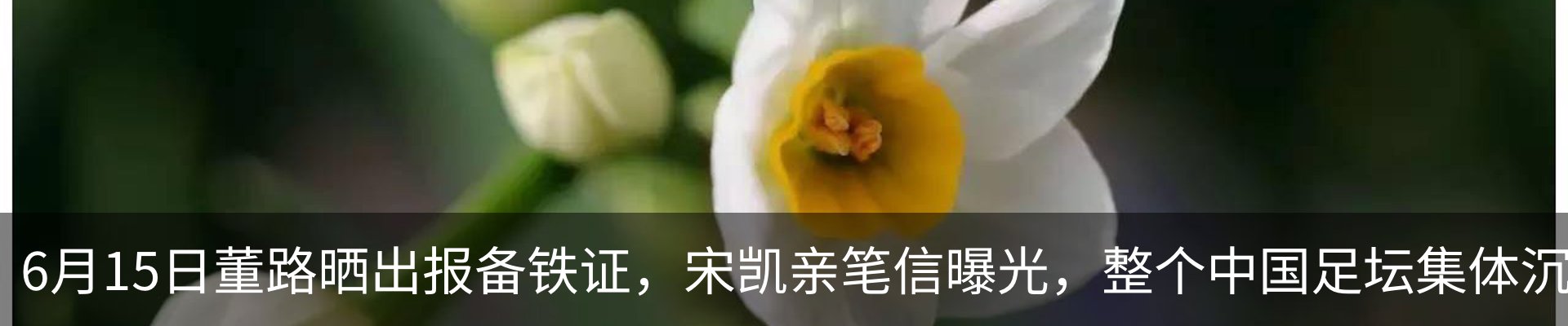 资讯动态